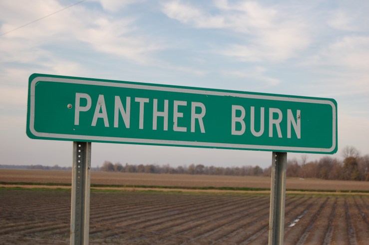 Panther Burn