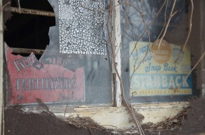 David_Thompson-Snap_Back